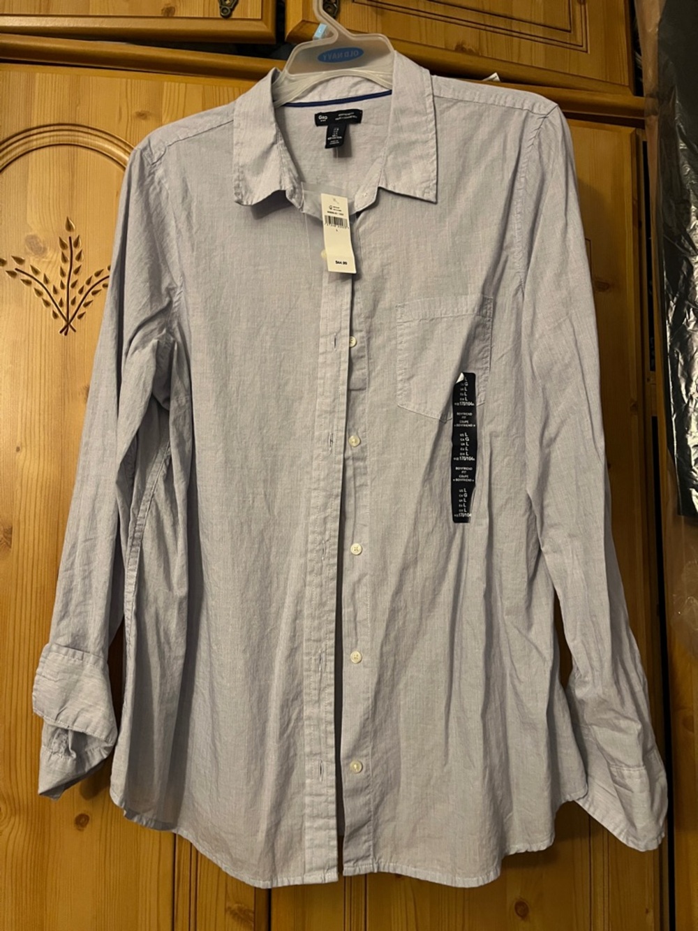 GAP Pale Blue Women's Long-Sleeve Button-Down Shirt